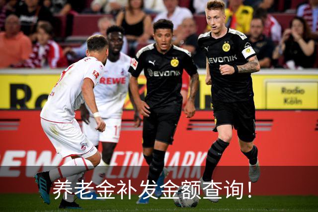 养老金补发金额查询！